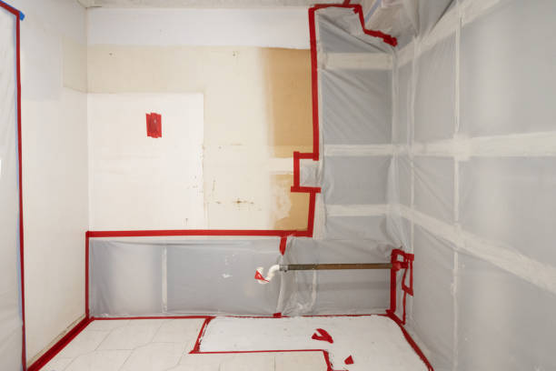 Best Mold Removal for HVAC Installations  in Millersburg, PA