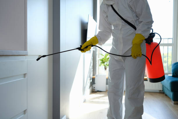 Best Mold Odor Removal Services  in Millersburg, PA