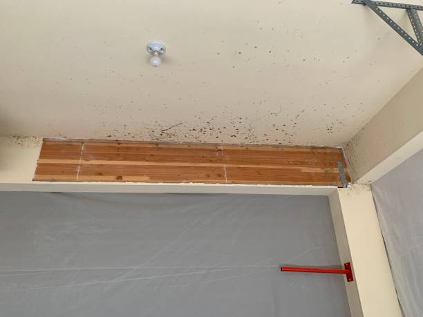 Best Air Quality Testing for Mold Spores  in Millersburg, PA